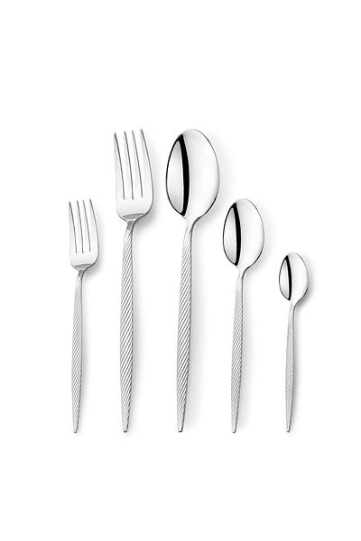 Schafer Lional 60 Piece Fork Spoon Set-silver04