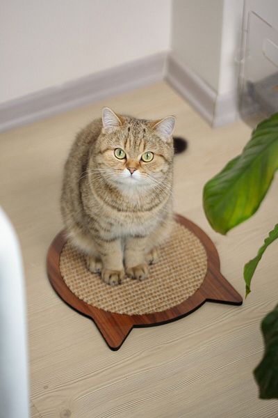 relaxco decoration & pet furniture لوحة خدش للقطط، حصير خدش للقطط من السيزال مع أعشاب للقطط، أرضية مضادة للانزلاق، خدش من الخشب الطبيعي