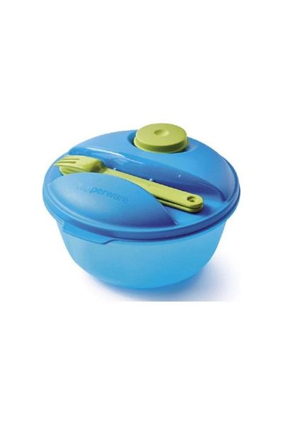 Tupperware Salad Storage & Carrying Container
