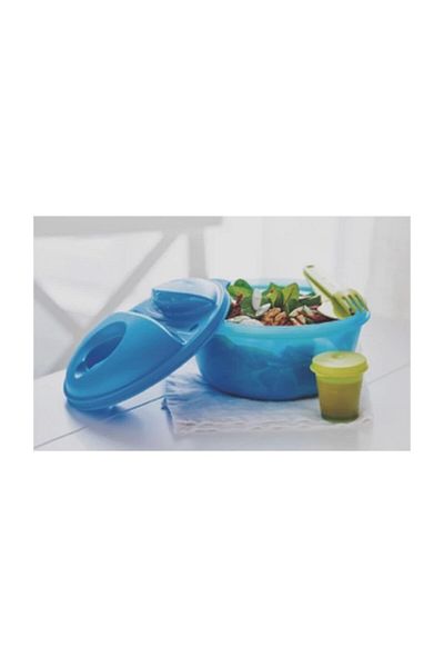 Tupperware Salad Storage & Carrying Container