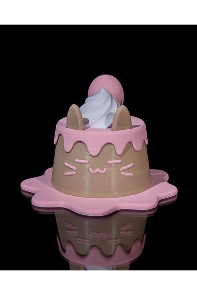 CESTOPİENO Cat Shaped Practical Model Cake