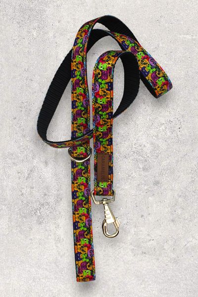 CARAMELOS Dog Collar Set - Strap with Body Collar and Walker