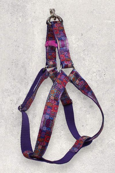 CARAMELOS Dog Collar Set - Strap with Body Collar and Walker