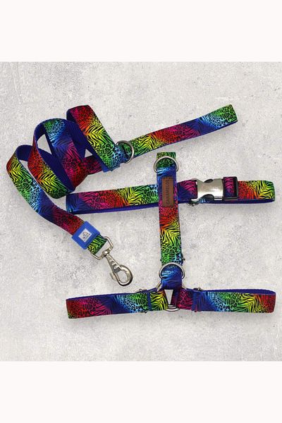 CARAMELOS H Type Dog Collar Set - Chest and Walking Collar, Medium and Large Breed