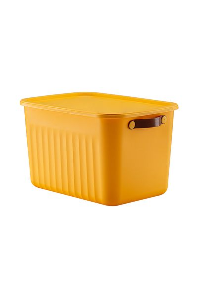 LIUWA 15 Lt Capacity 3 PCS Storage Box Mix - Organizer and Storage Box