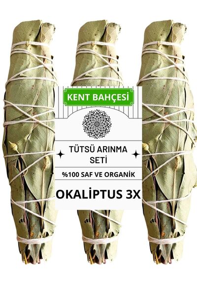 KENT BAHÇESİ 3 Lü Okaliptus Tütsü Demeti Nazarlık Arınma Tütsü Seti