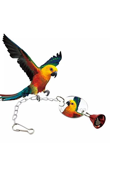 Alice Double Sided Cage Mirror - Toy Circle Shaped Accessory with Bells