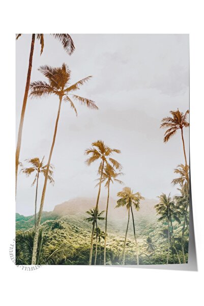 Postifull Poster bez okvira, letnja tematska slika BR:28, fotografija palme, ...