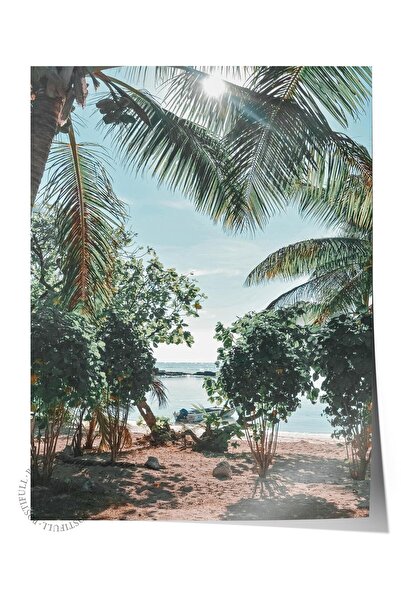 Postifull Çerçevesiz Poster, Yaz Temalı Tablo NO:172, Palmiye Manzarası Fotoğ...