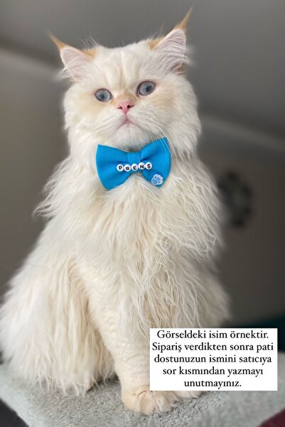 Minikpaw aksesuar Isimli Papyon Tasma Mavi