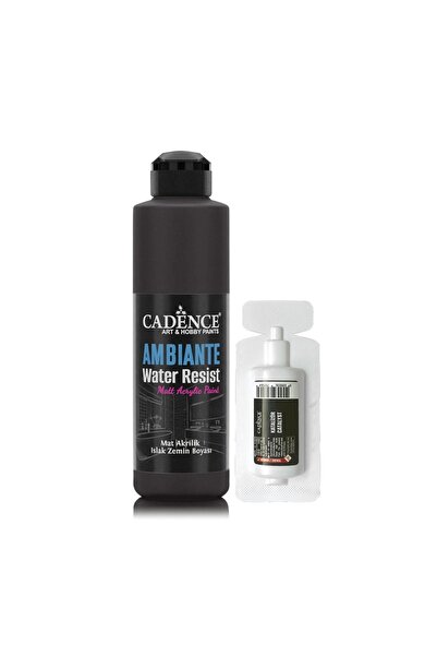 Cadence Ambiante Suya Dayanıklı Akrilik Boya Aw-24 Siyah 250ml + Katalizör 10gr