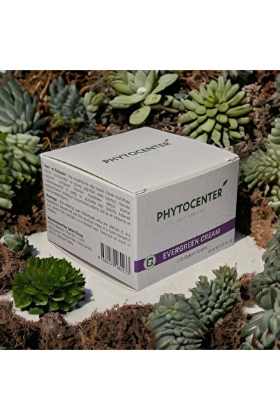 PHYTOCENTER Evergreen Cream Cilt Yenileyici Bakım Kremi 50 ml