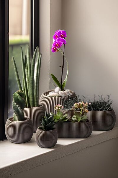 TEMMUZ HOME 6 Adet Yeni Dekoratif Ve Modern Kaktüs Sukulent Çiçek Ve Orkide S...