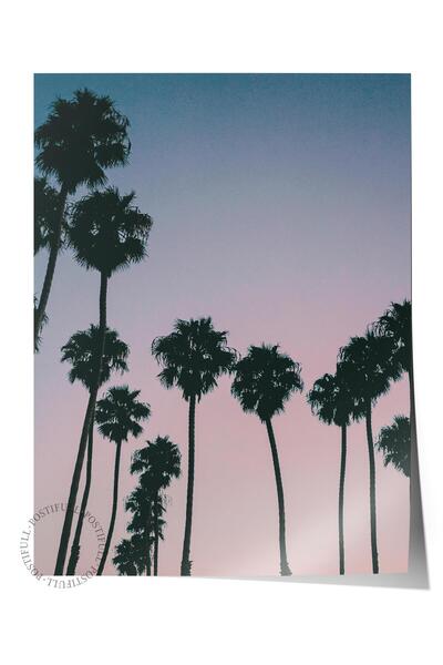 Postifull Poster bez okvira, letnja tematska slika BR:243, fotografija palmi,...