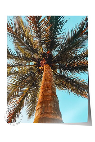 Postifull Poster fără cadru, pictură cu tematică de vară NR:211, fotografie c...