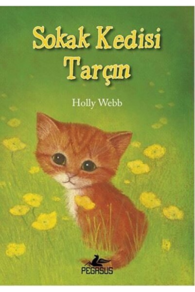 Pegasus Yayınları Sokak Kedisi Tarçın - Holly Webb