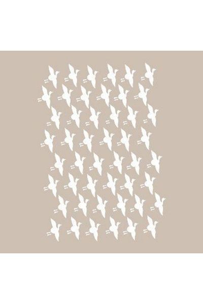 Cadence Bn005 25x36 Bn Series Stencil