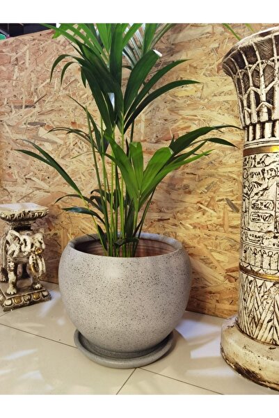 Balcony Flower Desenli Battal Yuvarlak Çömlek Saksı