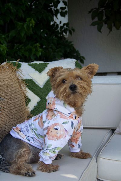 Oli and Lui LION LION Patterned Dog Sweatshirt