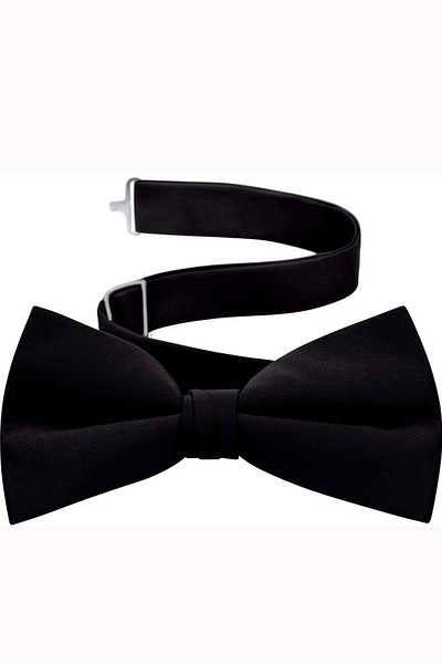 Gutiero Papion negru din satin