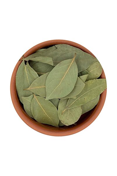 ASUDE Defne Yaprağı 80 Gr