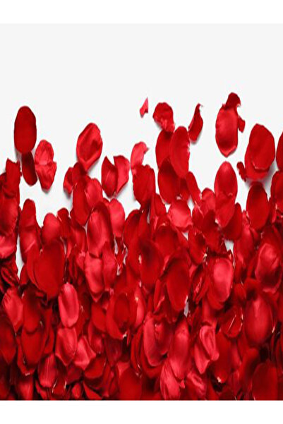 tohumcu kikizade +250 adet kırmızı gül yaprağı