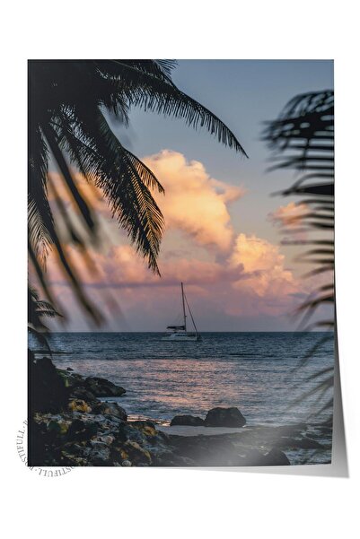 Postifull Çerçevesiz Poster, Yaz Temalı Tablo NO:76, Palmiye ve Gün Batımı Fo...