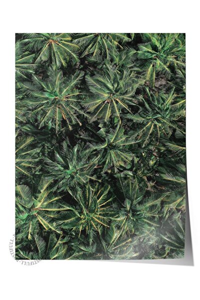 Postifull Αφίσα χωρίς πλαίσιο, ζωγραφική με θέμα το καλοκαίρι ΝΟ:67, Φωτογραφ...