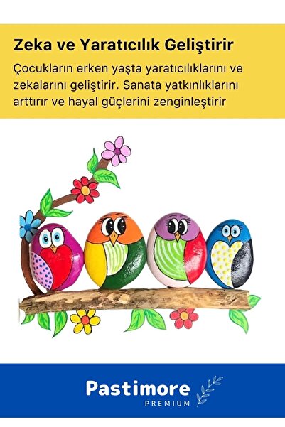 Pastimore Intelligence Developer 6 Color Acrylic Painted Stone Painting Activity Set with Brush for Children over 3 Years Old
