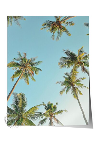 Postifull Çerçevesiz Poster, Yaz Temalı Tablo NO:132, Palmiye ve Mavi Gökyüzü...