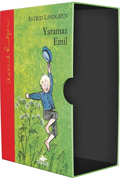 Pegasus Yayınları صناديق مجموعة الكتب الخاصة -