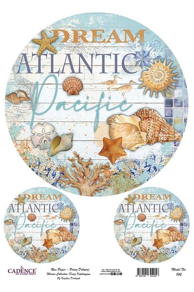 Cadence Rice Decoupage-842