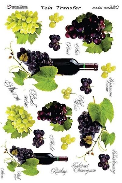 Cadence Tela Transfer Model 380