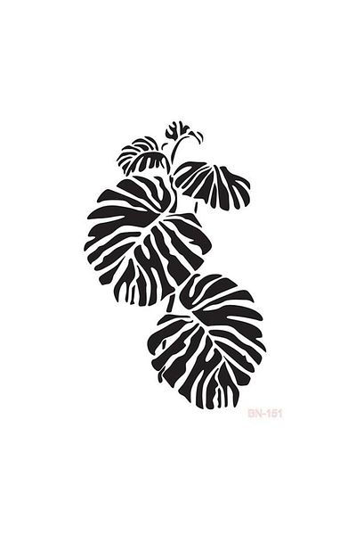 Cadence Bn151 Model 25x35 Series Stencil
