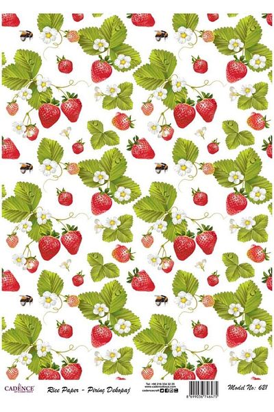 Cadence Rice Decoupage - Model 621