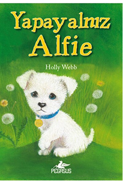 Pegasus Yayınları Yapayalnız Alfie - Holly Webb
