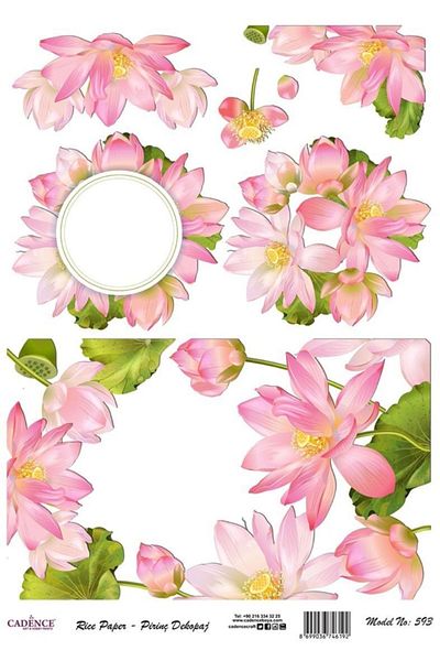 Cadence Rice Decoupage - Model 593