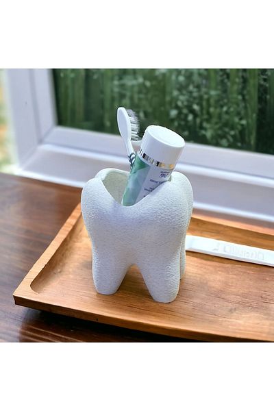 Maflen Stylish Tooth Shaped Toothbrush Holder (Bigger Now)
