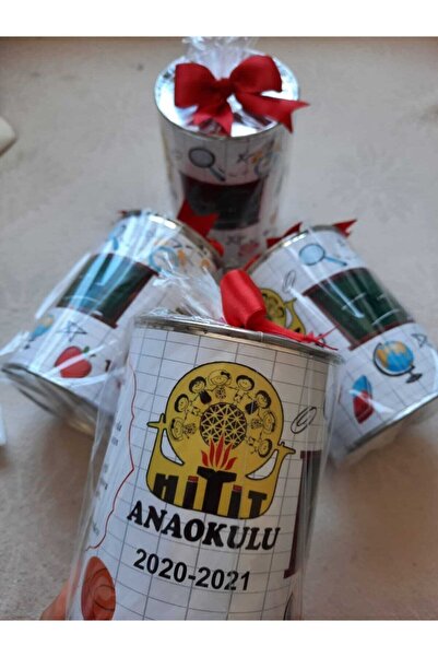 SEHER OYUNCAK Öğretmenlerden Öğrencilere Tek Kullanımlık Metal Kumbara (10 ADET)