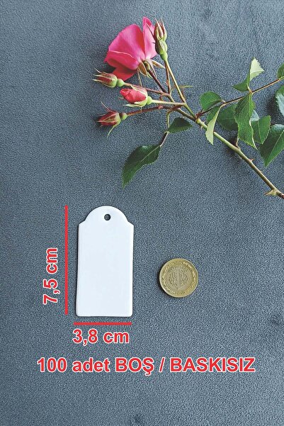 Vice White Cardboard Label / Price Gift Tag 100 Pcs (3.8 cm X 7.5 cm)