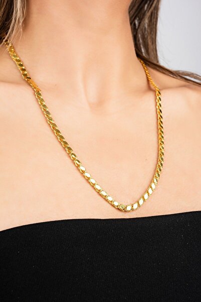 Altınaşkı Pullu Altın Zincir