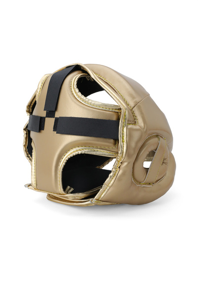 Titan Sport Face Protection Training Boxing Helmet, Gold Model 2