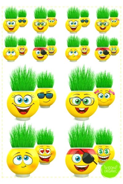OMZ Çim Adam Orijinal 2Adet Lisanslı Eğlenceli Sevimli Ürün Emojili Çimoji Oy...