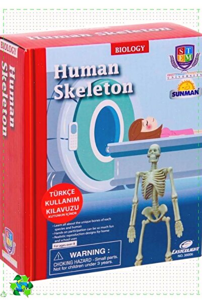 OMZ Bilim Seti : İnsan İskeleti Kız Cocuk Oyuncak Erkek Cocuk Egitici Montessori Oyuncaklar
