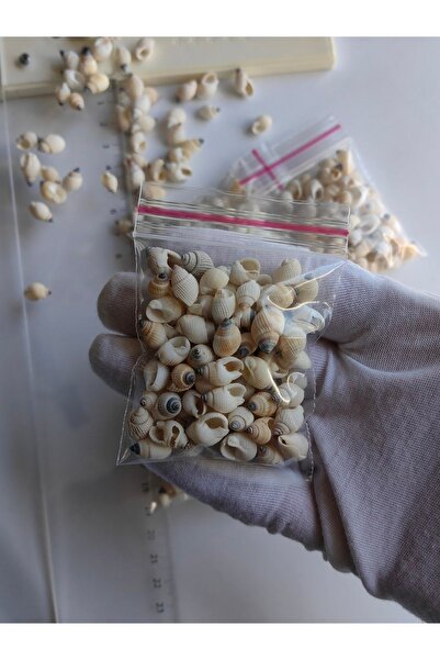 Seashell Rio 75 Μικροσκοπικά Θαλασσινά Κοχύλια