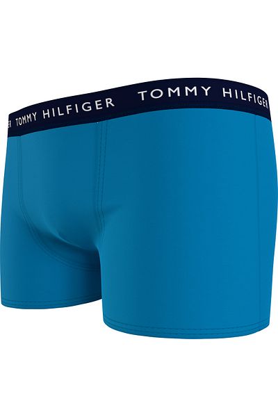 Tommy Hilfiger Boy's Blue Boxers - UB0UB004920WL