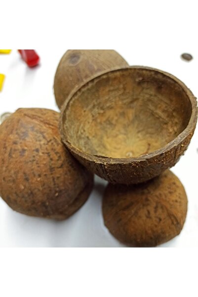 Akvaryum Doğal Dekoratif Hindistan Cevizi Kabuğu Önü Kapalı Yarım Kesik Model...