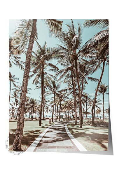 Postifull Çerçevesiz Poster, Yaz Temalı Tablo NO:156, Palmiye Ormanı Fotoğraf...