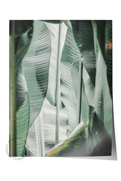 Postifull Poster fără încadrare, pictură cu tematică de vară NR:207, fotograf...