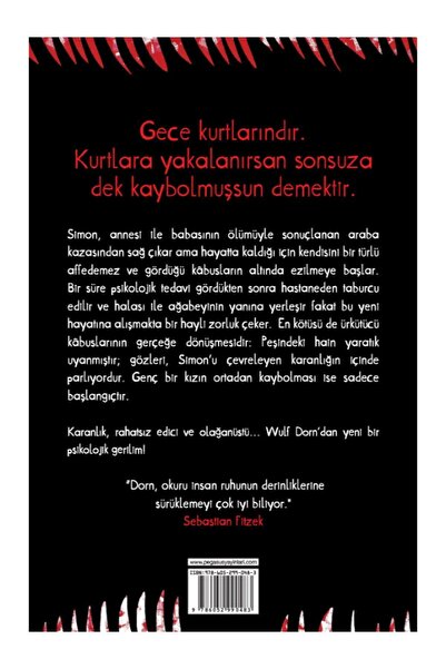 Pegasus Yayınları Karabasan - Wulf Dorn